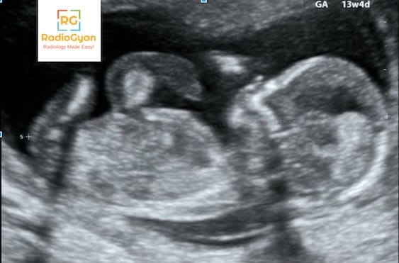 Radiology Spotters 8