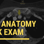 CT image showing brachiocephalic trunk FRCR anatomy mock exam