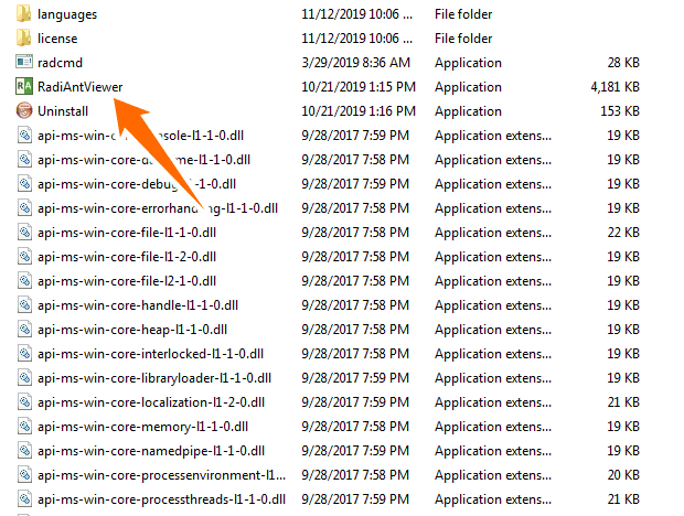Radiant DICOM viewer portable app