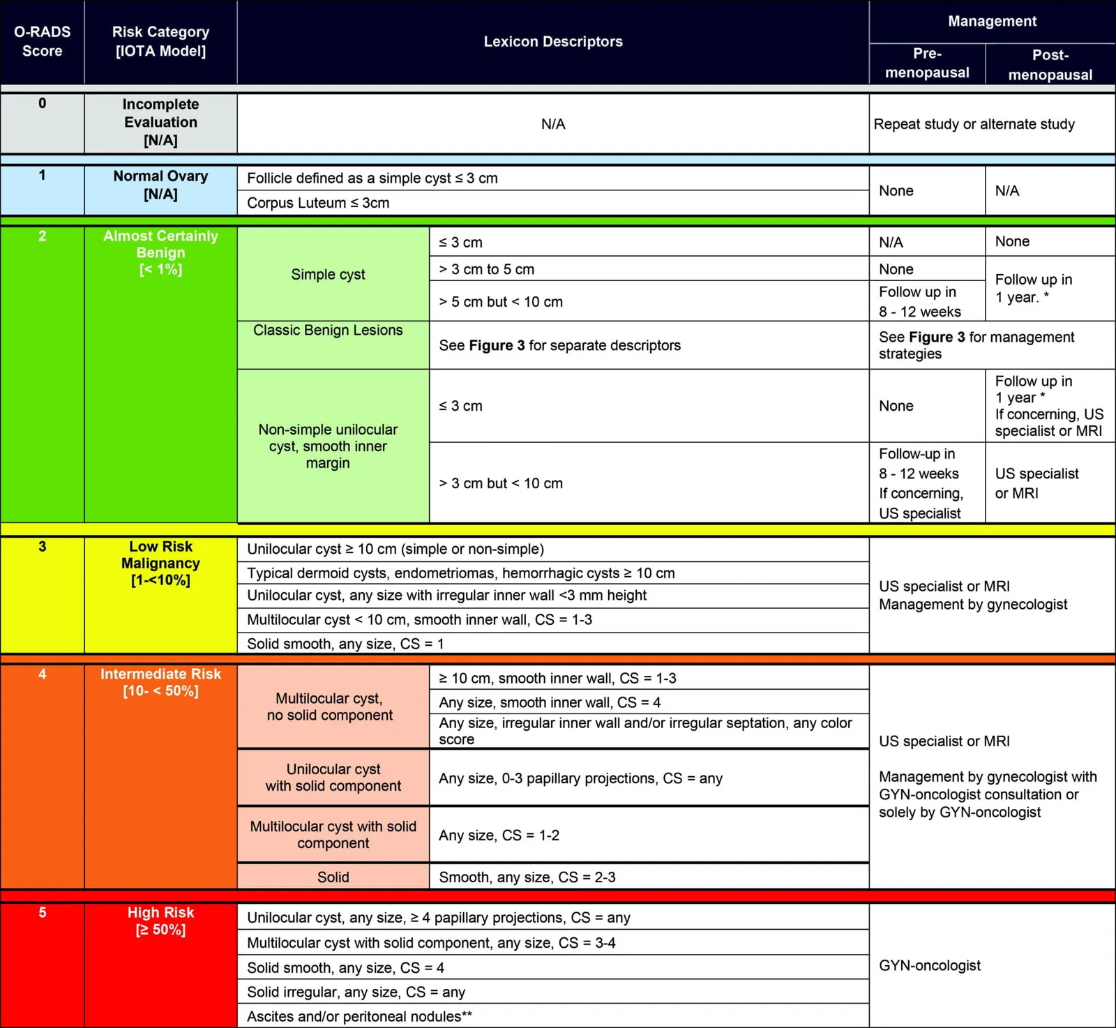 ORADS Ultrasound Calculator ACR Guidelines RadioGyan