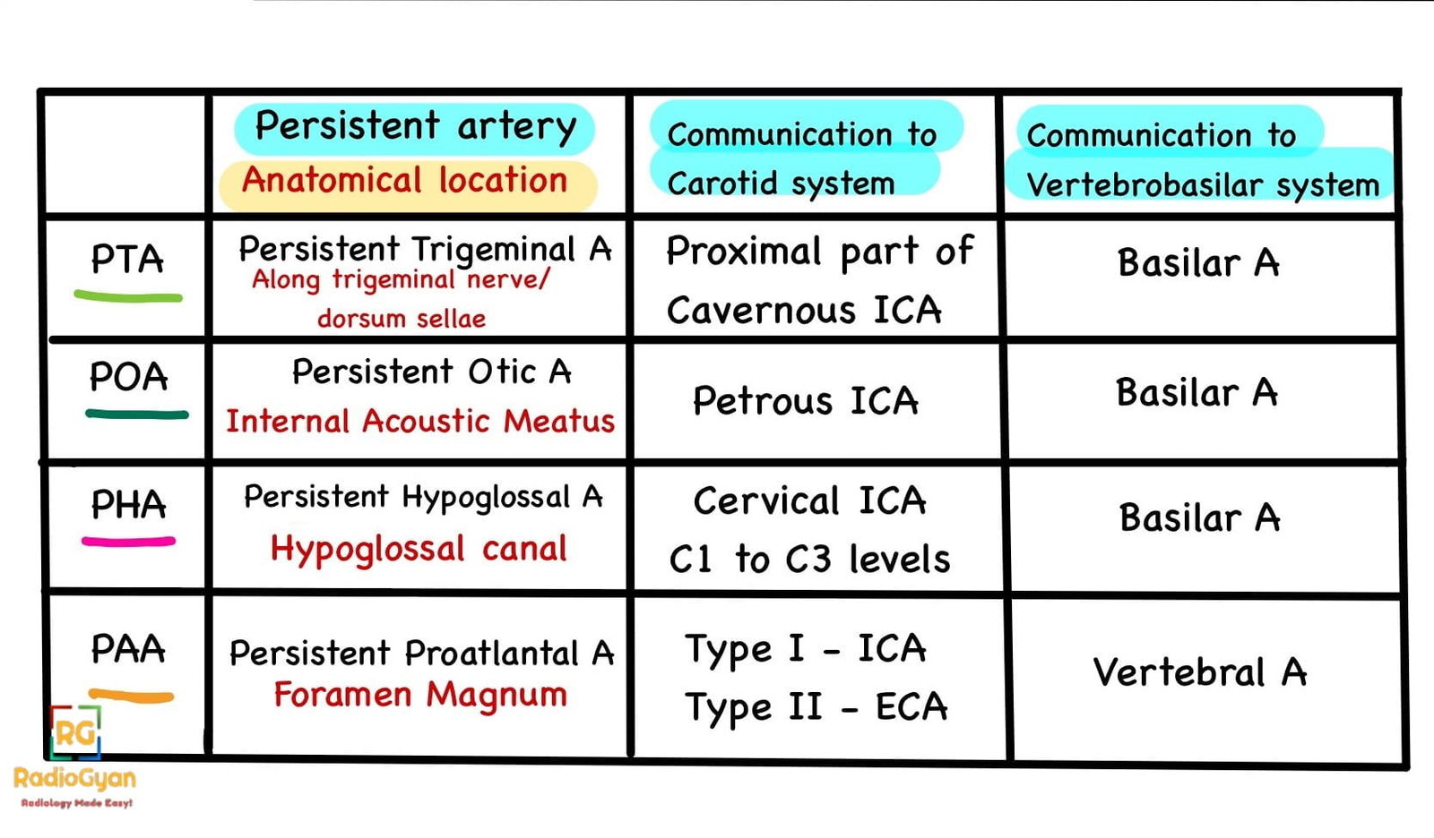 Common persistent carotid-vertebrobasilar anastomoses