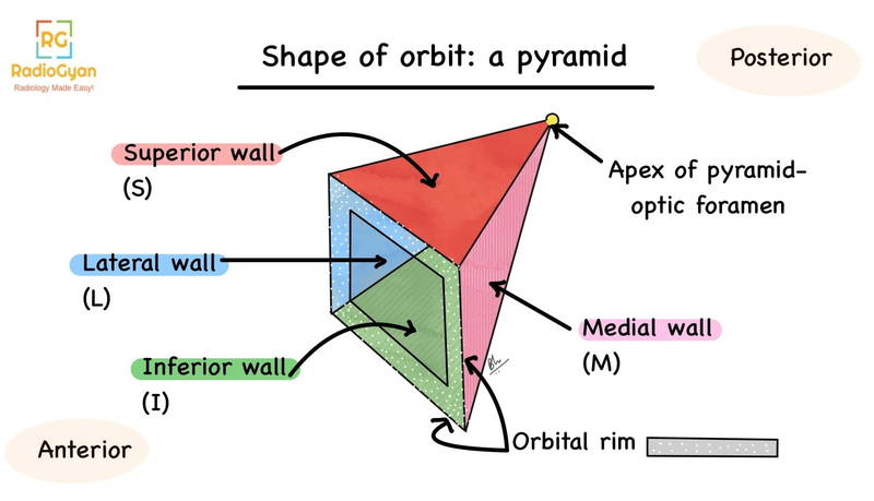 Illustration depicting how the shape of an orbit is similar to a pyramid