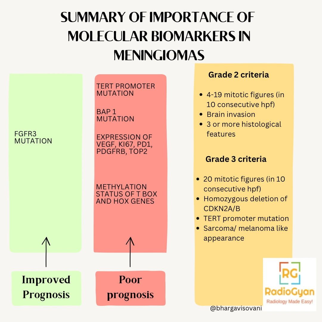 健康・医学 Meningiomas, Part II (Volume 170) i2 Meningiomas, Part II, Volume 170 - 1st Edition | Elsevier Shop