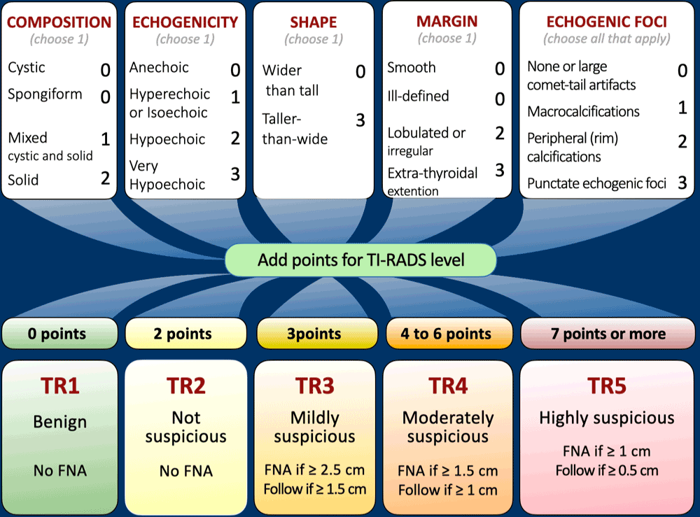 ACR TIRADS Scoring for Thyroid Nodules
