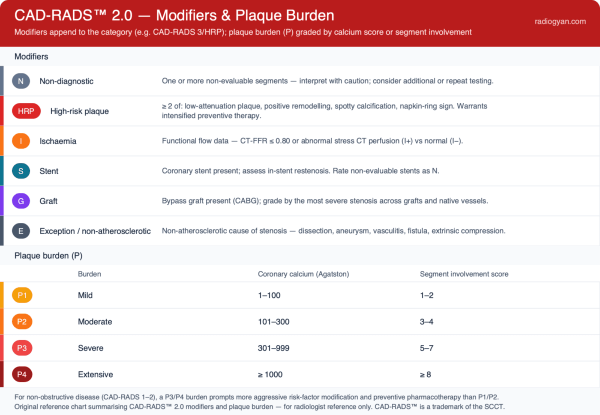 CAD-RADS 2.0 modifiers N, HRP, I, S, G and E plus plaque burden grades P1 to P4 by coronary calcium score and segment involvement score
