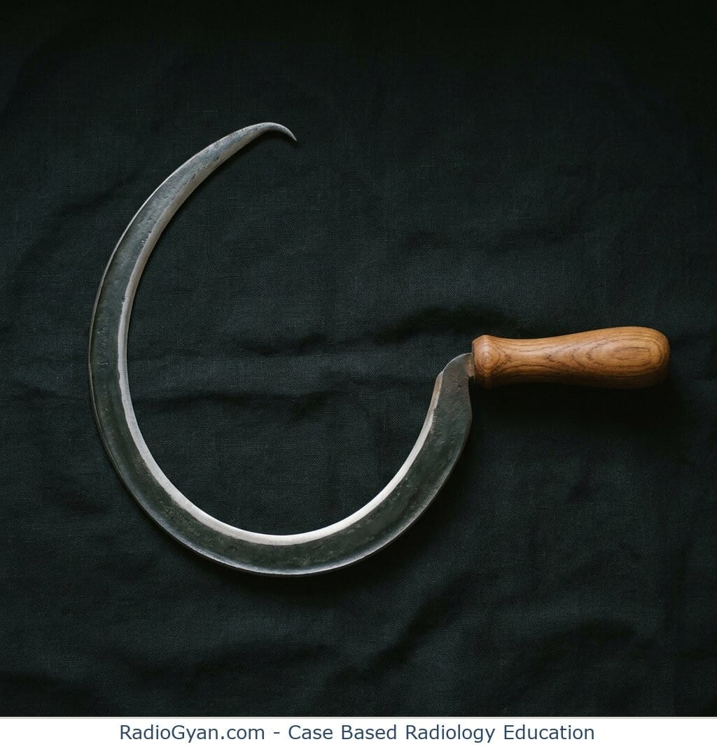 A traditional harvesting sickle with a short wooden handle and a crescent-shaped steel blade, the farming tool that gives the Luftsichel sign its name.