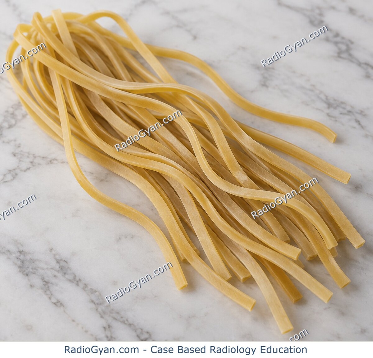 Uncooked linguine pasta illustrating the curved strands of the linguine sign.